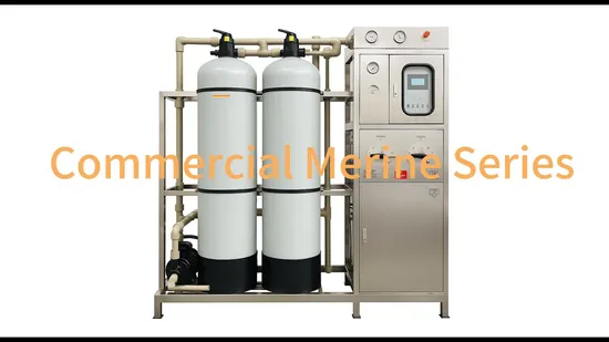 Swro Plant Seawater Filtration System Wellwater Desalination Equipment with RO System