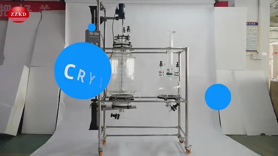 20L 50L 100L Chemical Lab Equipment Crystallization Reactor Filter Glass Reactor Nutsche Filter with Collecting Bottle